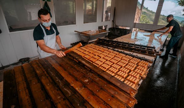 Découvrez le BTS en conception pour productivité accrue